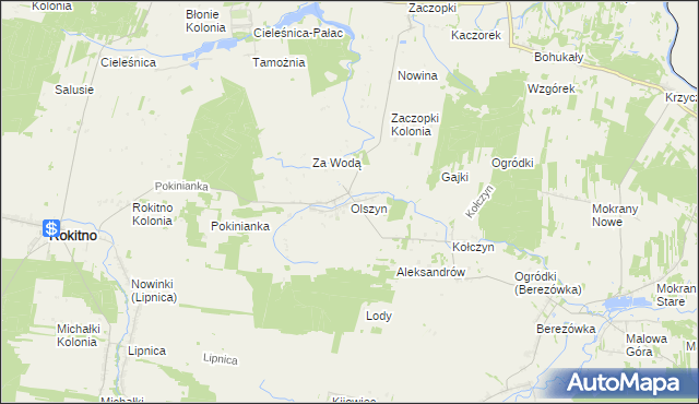 mapa Olszyn, Olszyn na mapie Targeo