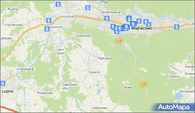 mapa Pętkowice gmina Wejherowo, Pętkowice gmina Wejherowo na mapie Targeo