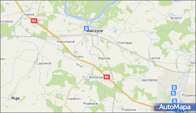 mapa Rachów, Rachów na mapie Targeo