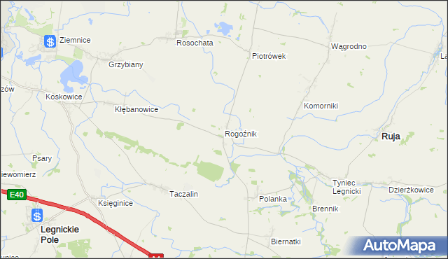 mapa Rogoźnik gmina Ruja, Rogoźnik gmina Ruja na mapie Targeo