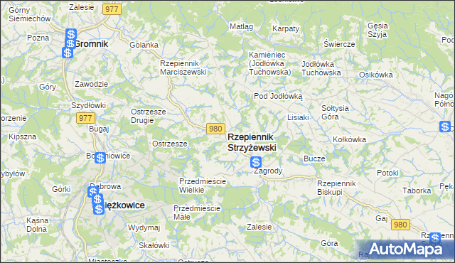 mapa Rzepiennik Strzyżewski, Rzepiennik Strzyżewski na mapie Targeo