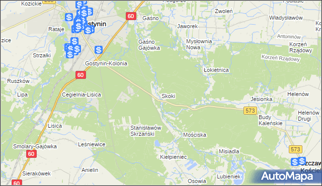 mapa Skoki gmina Gostynin, Skoki gmina Gostynin na mapie Targeo