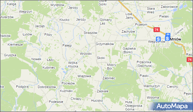 mapa Skoki gmina Mniów, Skoki gmina Mniów na mapie Targeo
