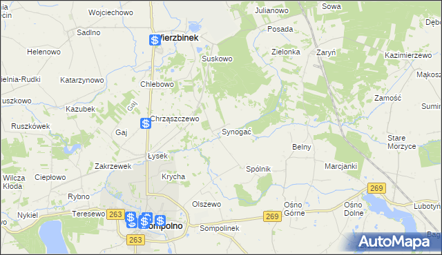 mapa Synogać, Synogać na mapie Targeo