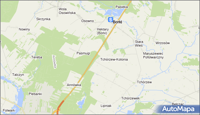 mapa Tchórzew-Kolonia, Tchórzew-Kolonia na mapie Targeo
