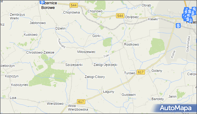 mapa Toki gmina Czernice Borowe, Toki gmina Czernice Borowe na mapie Targeo