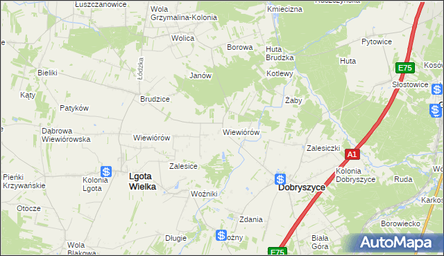 mapa Wiewiórów gmina Dobryszyce, Wiewiórów gmina Dobryszyce na mapie Targeo