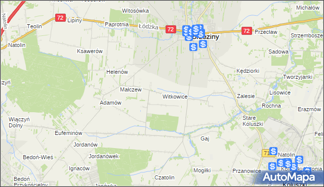 mapa Witkowice gmina Brzeziny, Witkowice gmina Brzeziny na mapie Targeo