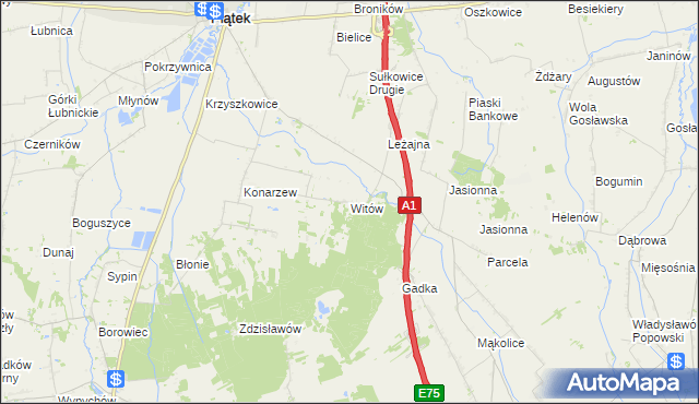 mapa Witów gmina Piątek, Witów gmina Piątek na mapie Targeo