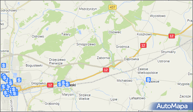 mapa Zabornia gmina Piaski, Zabornia gmina Piaski na mapie Targeo