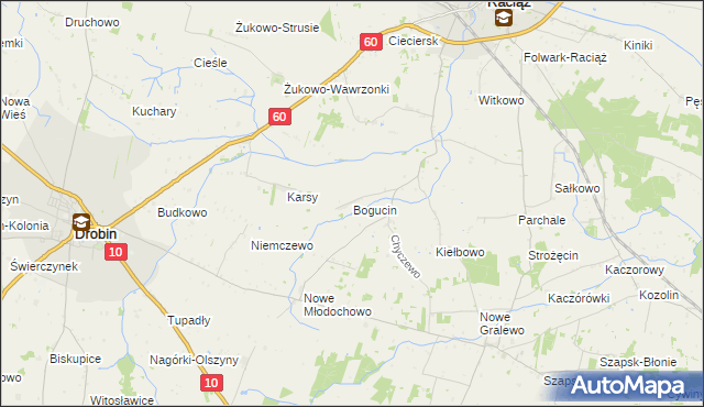 mapa Bogucin gmina Raciąż, Bogucin gmina Raciąż na mapie Targeo