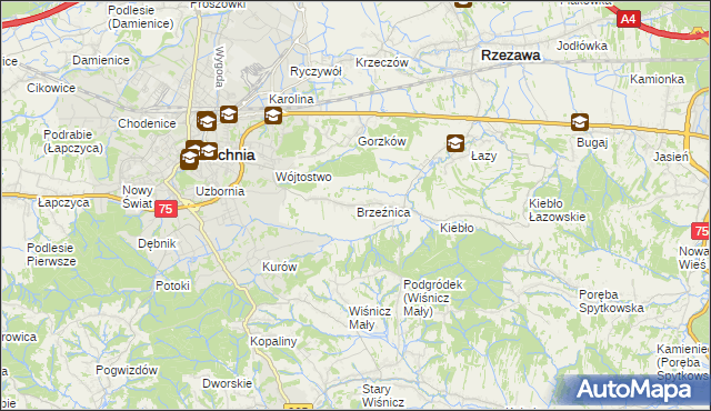 mapa Brzeźnica gmina Bochnia, Brzeźnica gmina Bochnia na mapie Targeo