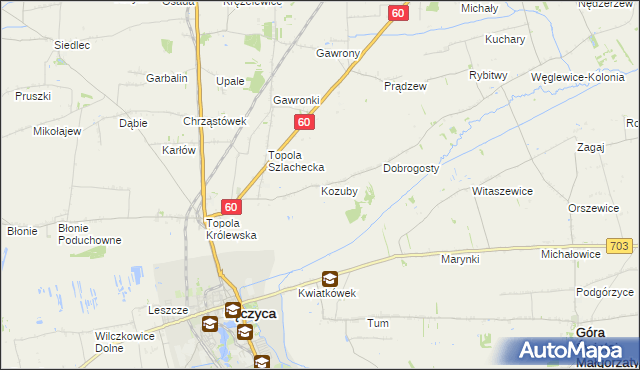 mapa Kozuby gmina Łęczyca, Kozuby gmina Łęczyca na mapie Targeo