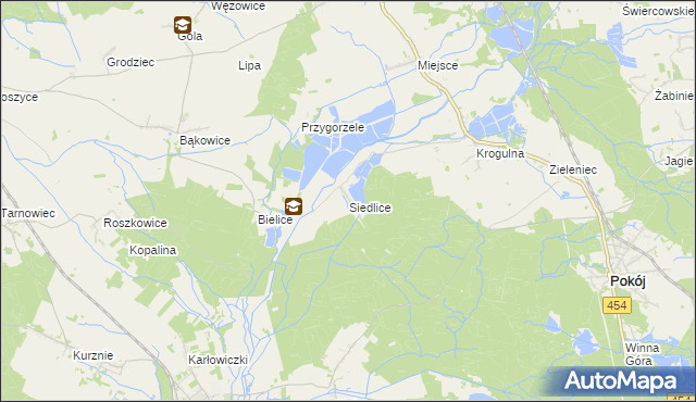 mapa Siedlice gmina Pokój, Siedlice gmina Pokój na mapie Targeo
