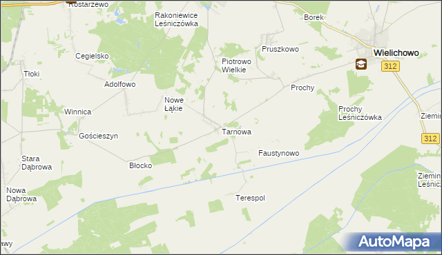 mapa Tarnowa gmina Rakoniewice, Tarnowa gmina Rakoniewice na mapie Targeo