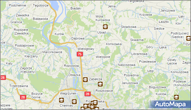 mapa Wielopole gmina Chełmiec, Wielopole gmina Chełmiec na mapie Targeo
