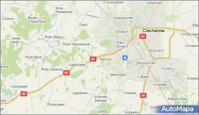 mapa Pęchcin, Pęchcin na mapie Targeo