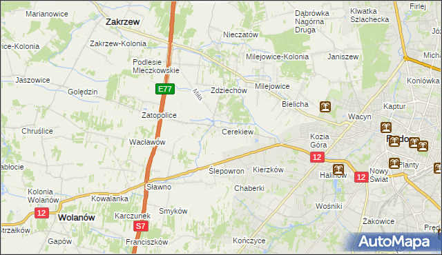 mapa Cerekiew gmina Zakrzew, Cerekiew gmina Zakrzew na mapie Targeo