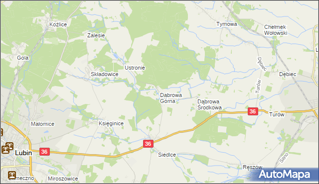 mapa Dąbrowa Górna gmina Lubin, Dąbrowa Górna gmina Lubin na mapie Targeo