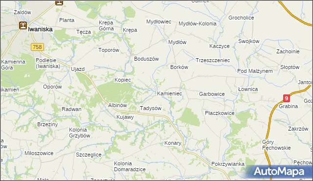 mapa Kamieniec gmina Iwaniska, Kamieniec gmina Iwaniska na mapie Targeo
