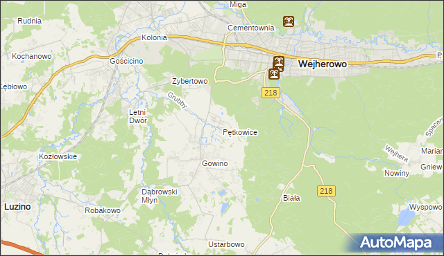 mapa Pętkowice gmina Wejherowo, Pętkowice gmina Wejherowo na mapie Targeo