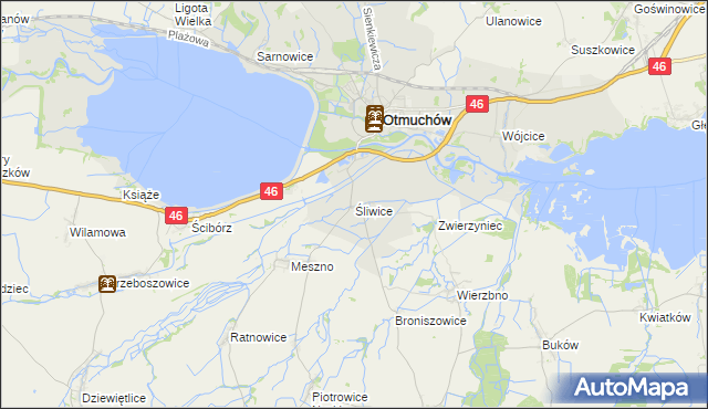 mapa Śliwice gmina Otmuchów, Śliwice gmina Otmuchów na mapie Targeo