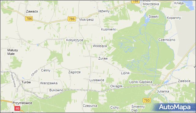 mapa Żuraw gmina Janów, Żuraw gmina Janów na mapie Targeo