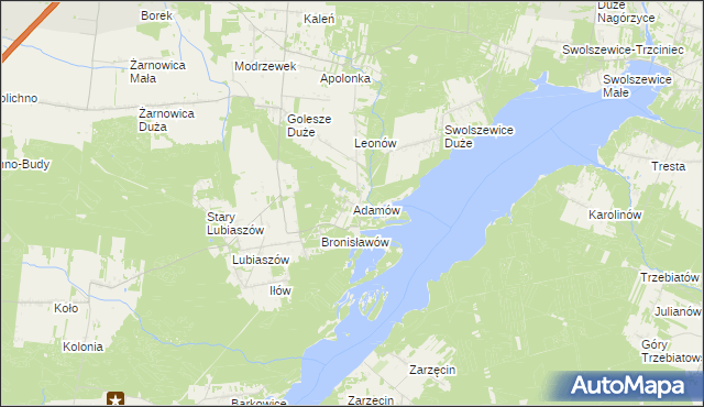 mapa Adamów gmina Wolbórz, Adamów gmina Wolbórz na mapie Targeo