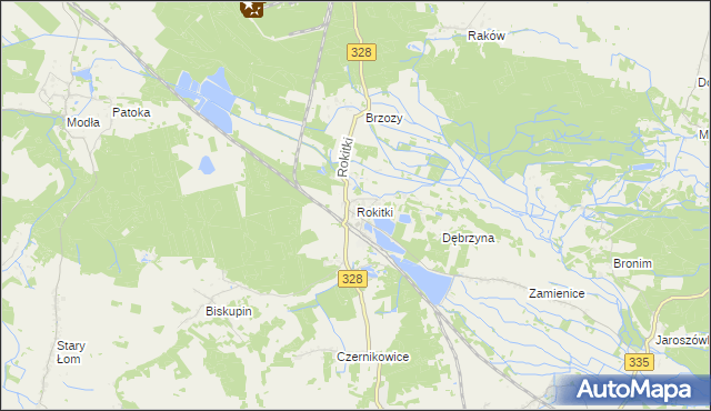 mapa Rokitki gmina Chojnów, Rokitki gmina Chojnów na mapie Targeo