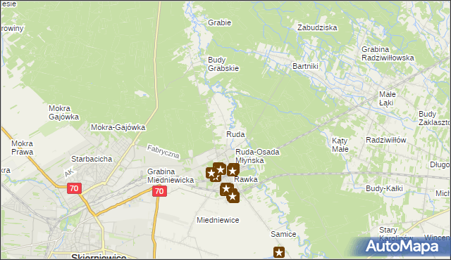 mapa Ruda gmina Skierniewice, Ruda gmina Skierniewice na mapie Targeo