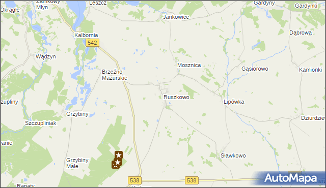 mapa Ruszkowo gmina Działdowo, Ruszkowo gmina Działdowo na mapie Targeo