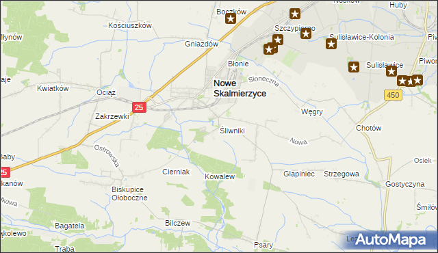 mapa Śliwniki gmina Nowe Skalmierzyce, Śliwniki gmina Nowe Skalmierzyce na mapie Targeo