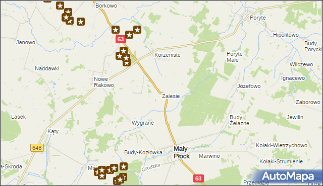 mapa Zalesie gmina Mały Płock, Zalesie gmina Mały Płock na mapie Targeo