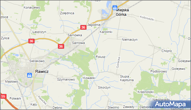 mapa Folusz gmina Rawicz, Folusz gmina Rawicz na mapie Targeo