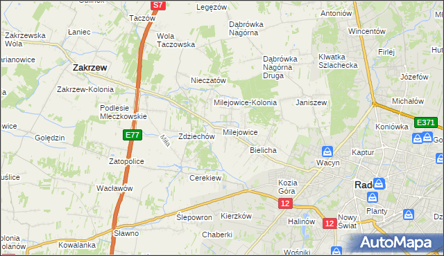 mapa Milejowice gmina Zakrzew, Milejowice gmina Zakrzew na mapie Targeo