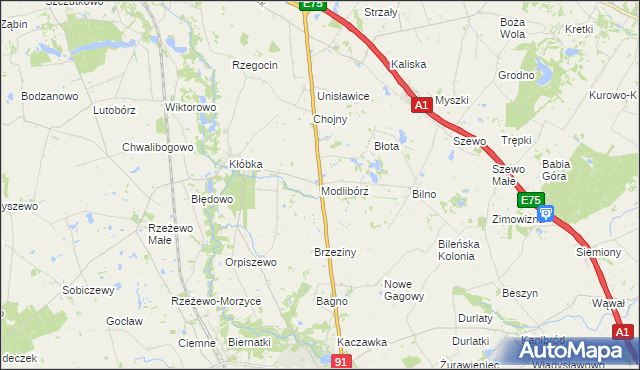 mapa Modlibórz, Modlibórz na mapie Targeo