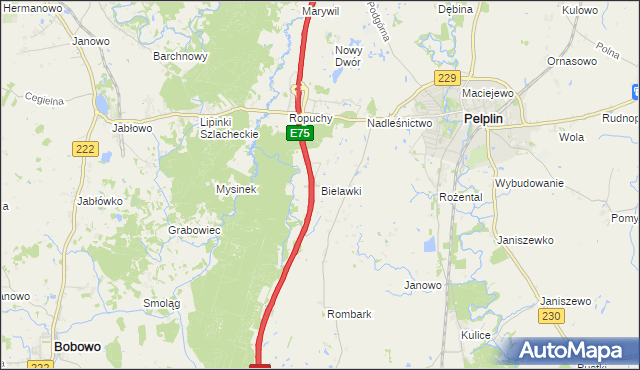 mapa Bielawki gmina Pelplin, Bielawki gmina Pelplin na mapie Targeo