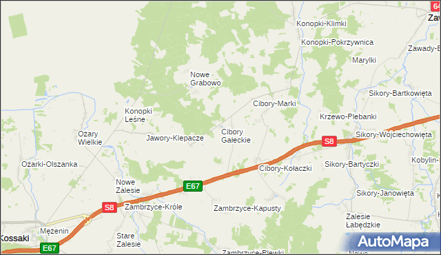 mapa Cibory Gałeckie, Cibory Gałeckie na mapie Targeo