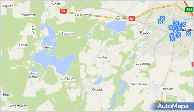 mapa Borów gmina Świebodzin, Borów gmina Świebodzin na mapie Targeo