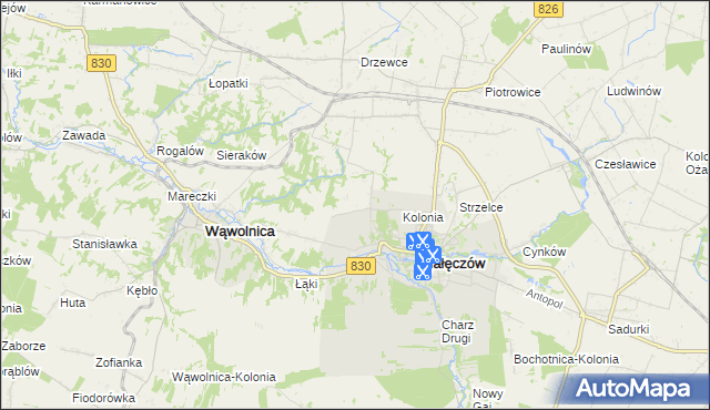 mapa Chruszczów-Kolonia, Chruszczów-Kolonia na mapie Targeo