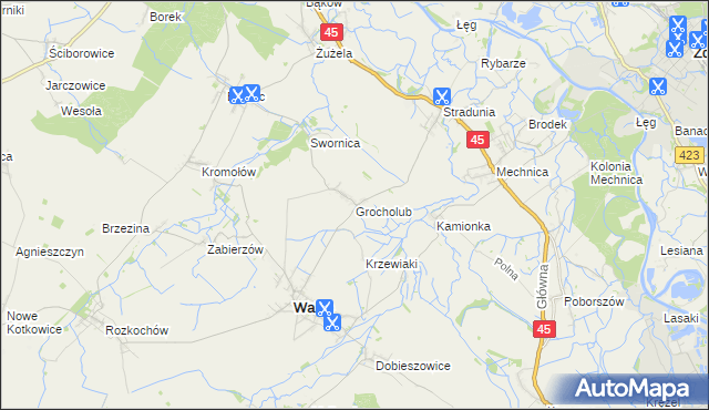 mapa Grocholub, Grocholub na mapie Targeo