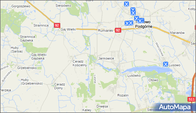 mapa Jankowice gmina Tarnowo Podgórne, Jankowice gmina Tarnowo Podgórne na mapie Targeo