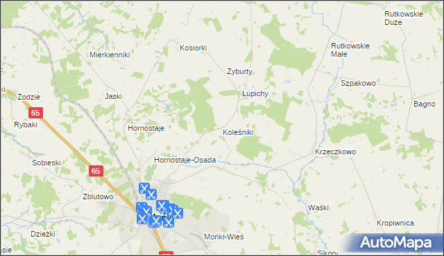 mapa Koleśniki gmina Mońki, Koleśniki gmina Mońki na mapie Targeo