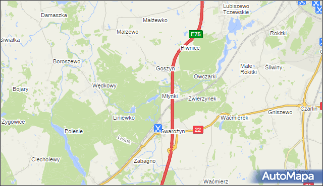 mapa Młynki gmina Tczew, Młynki gmina Tczew na mapie Targeo