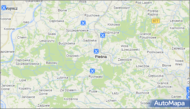 mapa Pleśna powiat tarnowski, Pleśna powiat tarnowski na mapie Targeo