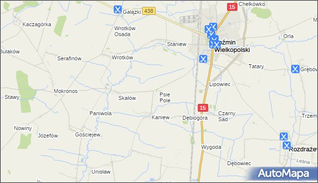 mapa Psie Pole gmina Koźmin Wielkopolski, Psie Pole gmina Koźmin Wielkopolski na mapie Targeo