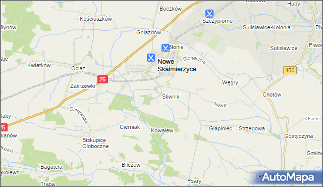 mapa Śliwniki gmina Nowe Skalmierzyce, Śliwniki gmina Nowe Skalmierzyce na mapie Targeo