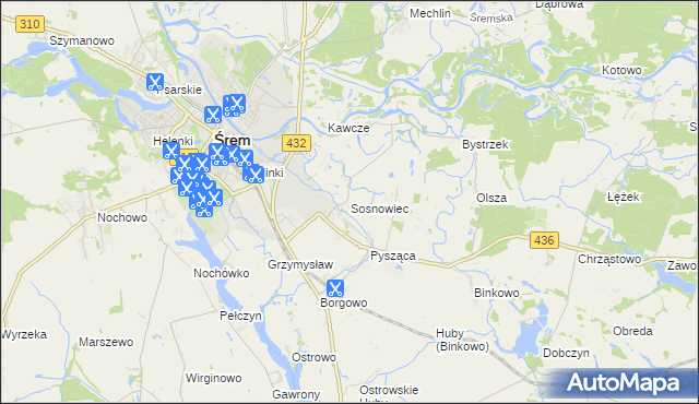 mapa Sosnowiec gmina Śrem, Sosnowiec gmina Śrem na mapie Targeo