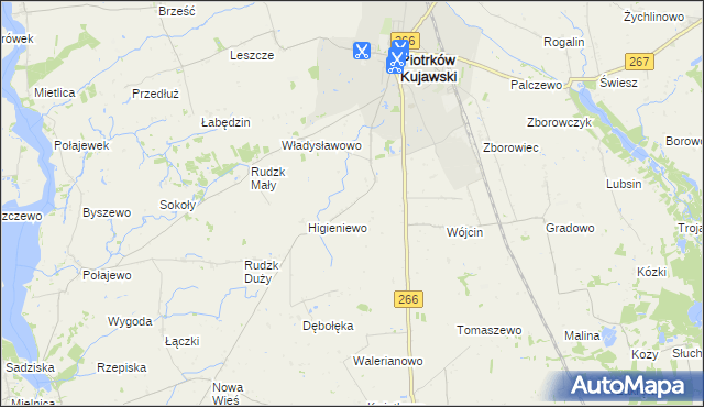 mapa Szewce gmina Piotrków Kujawski, Szewce gmina Piotrków Kujawski na mapie Targeo