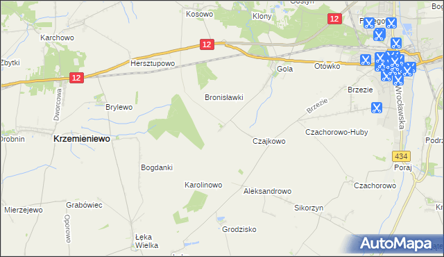 mapa Witoldowo gmina Gostyń, Witoldowo gmina Gostyń na mapie Targeo